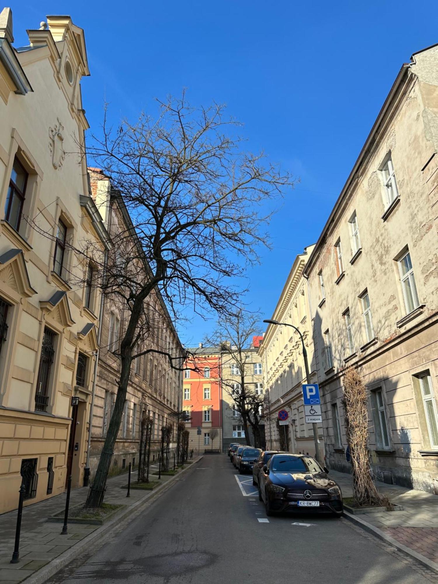 Perfect Place To Stay In Krakow City Center 18M2 W5 Dış mekan fotoğraf